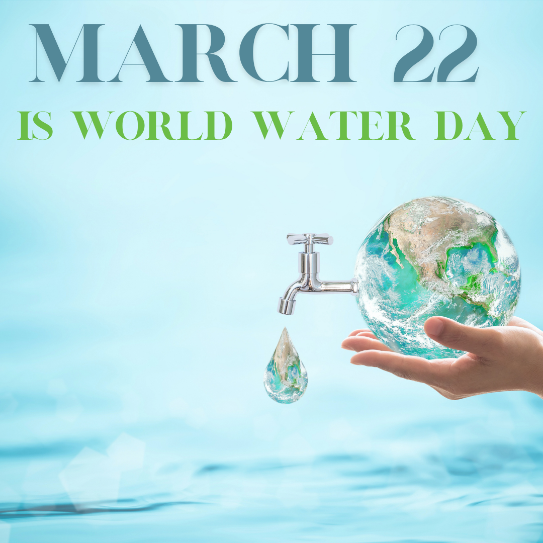March 22nd is World Water Day
